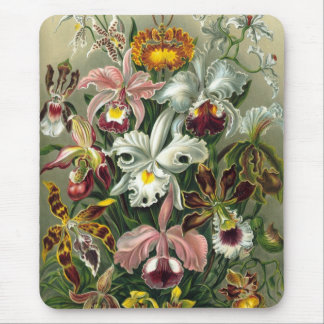 Haeckel Mouse Pad