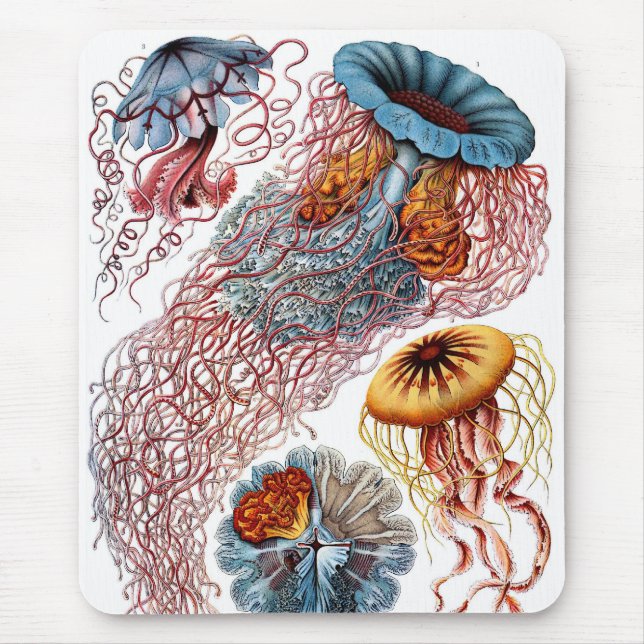 Haeckel Mouse Pad (Front)