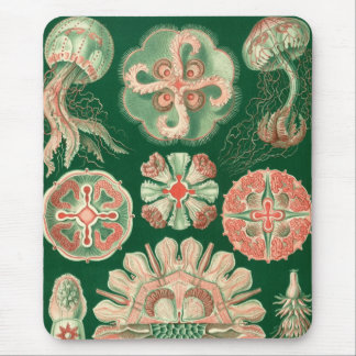 Haeckel Mouse Pad