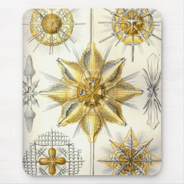 Haeckel Mouse Pad (Front)