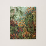 Haeckel Muscinae Jigsaw Puzzle<br><div class="desc">Ernst Haeckel Muscinae vintage scientific drawing</div>