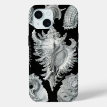 Haeckel Negative