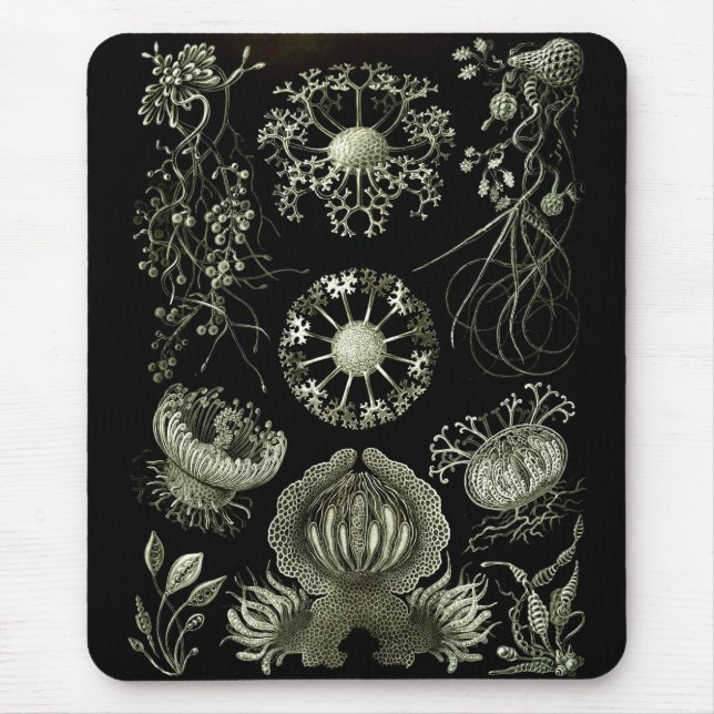 Haeckel Negative Mouse Pad (Front)