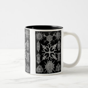 Haeckel Negative Two-Tone Coffee Mug