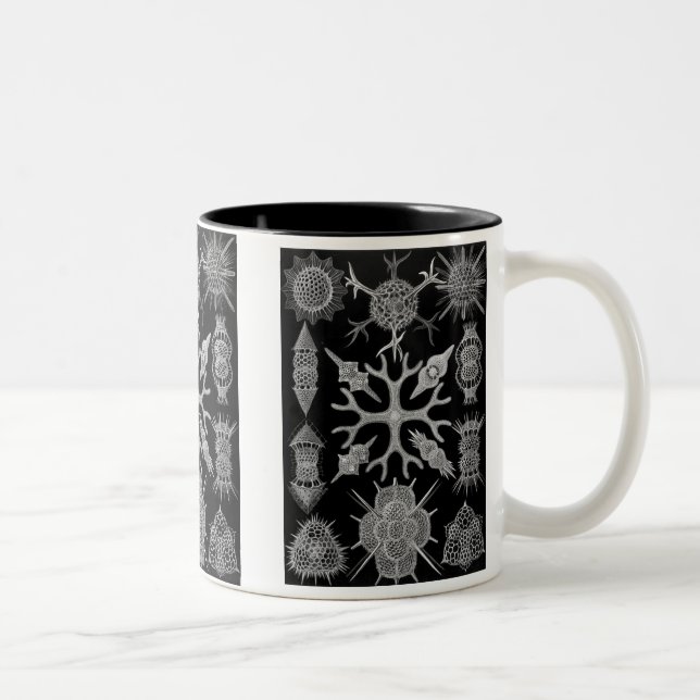 Haeckel Negative Two-Tone Coffee Mug (Right)