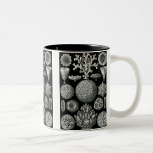Haeckel Negative Two-Tone Coffee Mug