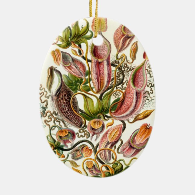 Haeckel Nepenthaceae Ceramic Ornament (Back)
