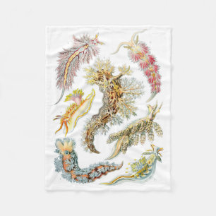 Haeckel Nudibranchia Fleece Blanket