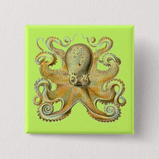 Haeckel Octopus 15 Cm Square Badge (Front)