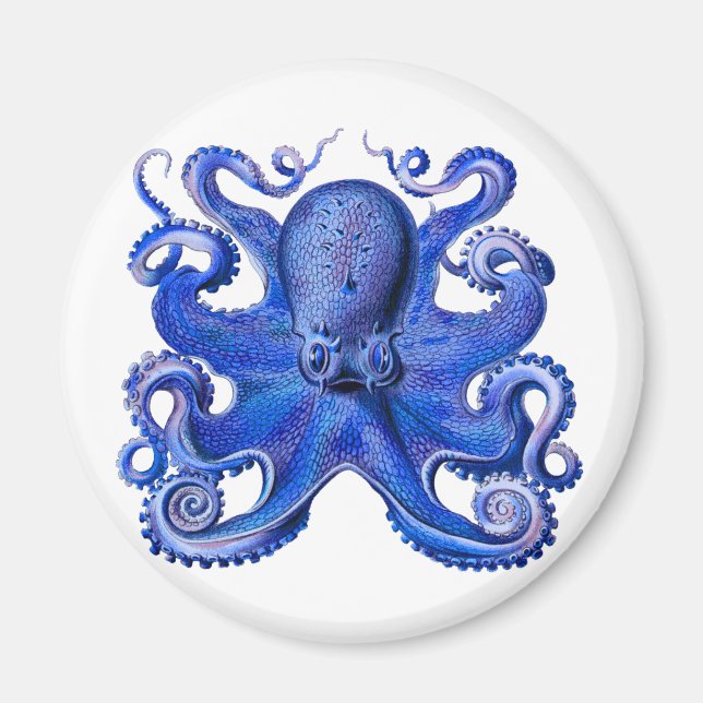 Haeckel Octopus Blue Magnet (Front)