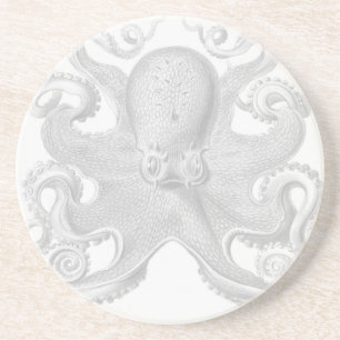 Haeckel Octopus Coaster