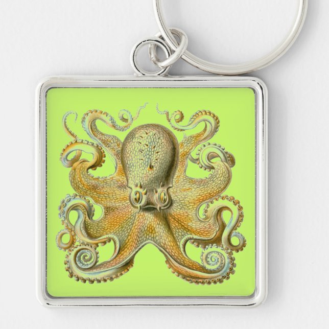 Haeckel Octopus Key Ring (Front)