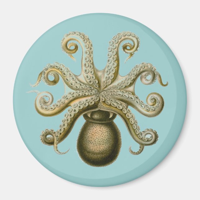 Haeckel Octopus Magnet (Front)