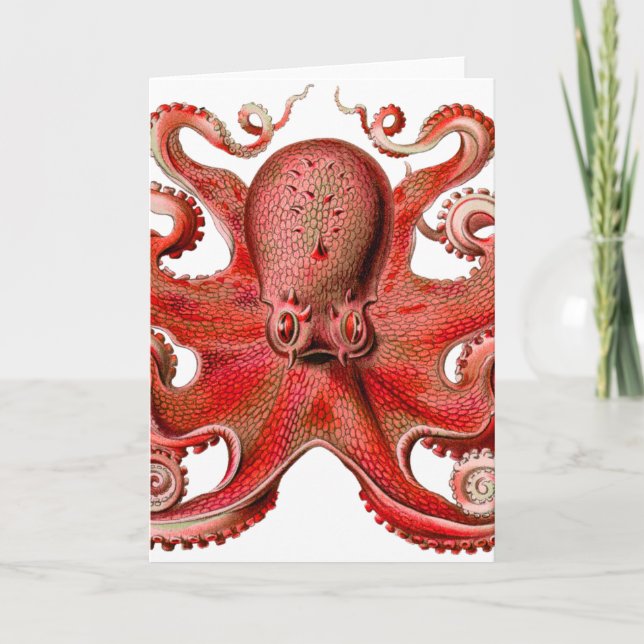 Haeckel Octopus Red Card (Front)