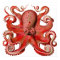 Haeckel Octopus Red