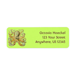 Haeckel Octopus Return Address Label