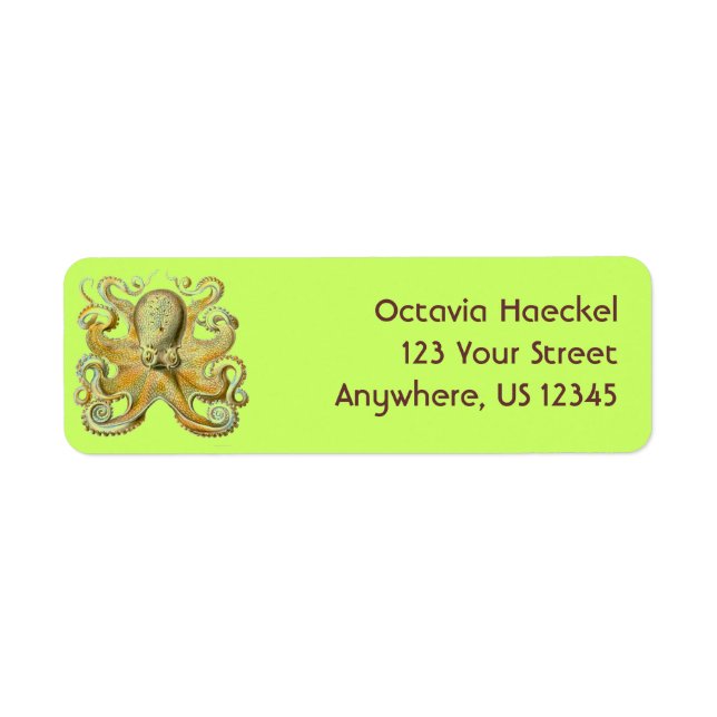 Haeckel Octopus Return Address Label (Front)