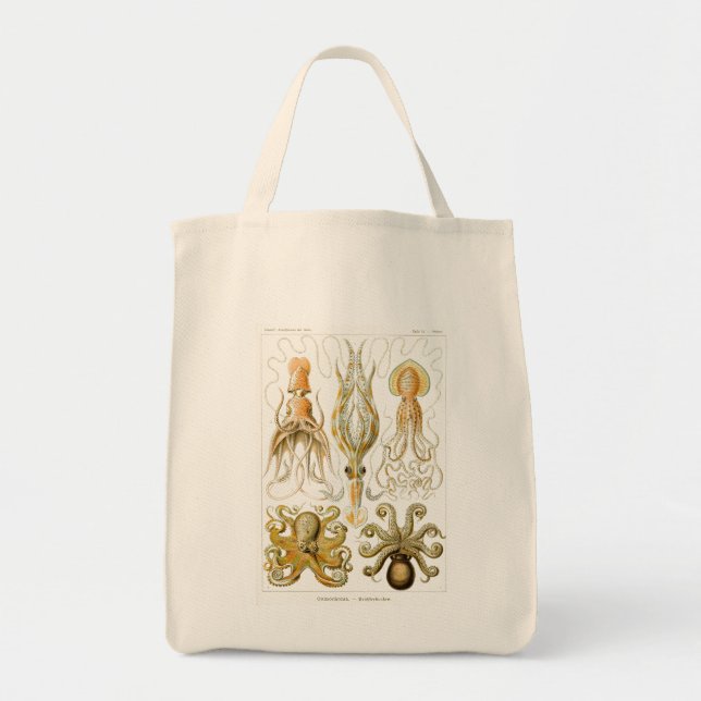 Haeckel Octopus Tote Bag (Front)