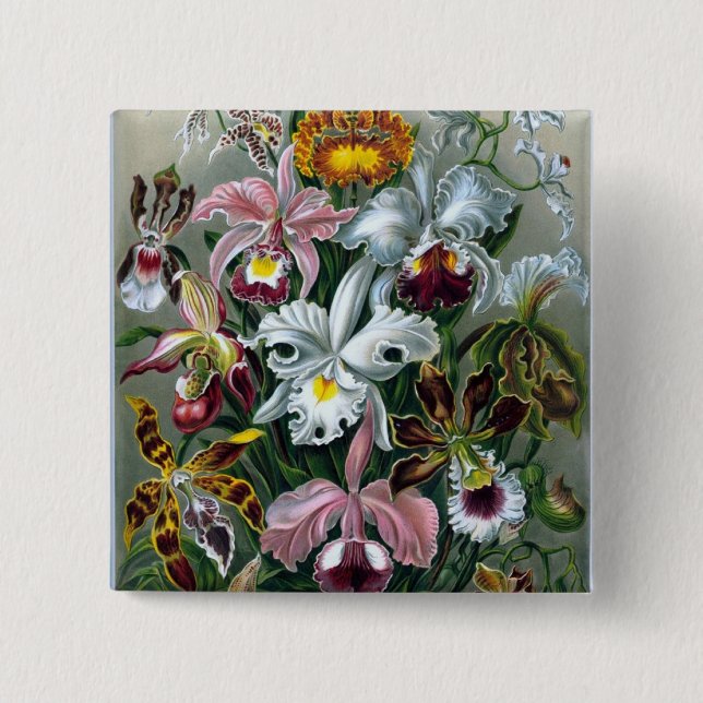 Haeckel Orchid Study Illustration Button (Front)