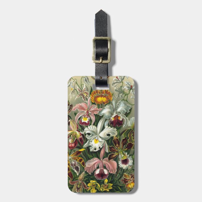 Haeckel Orchidae Luggage Tag (Front Vertical)