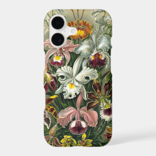 Haeckel Orchids