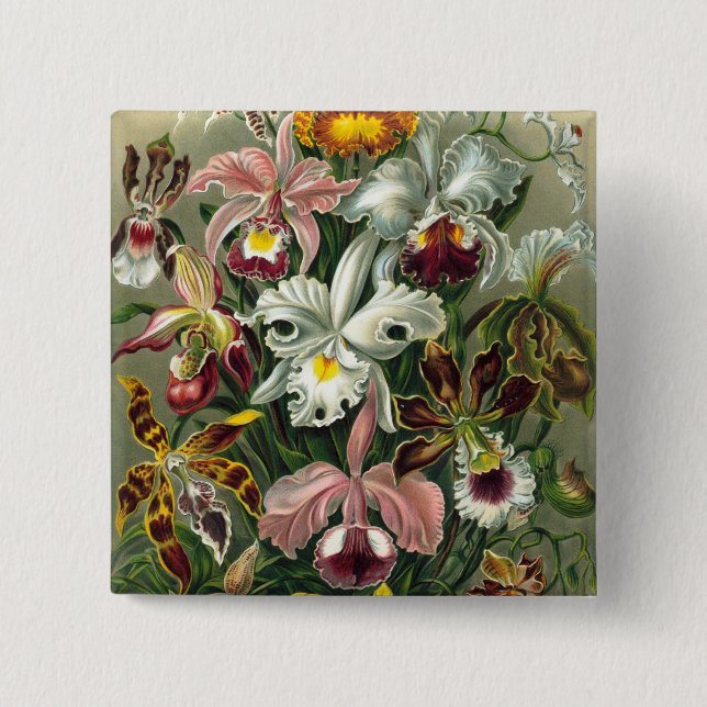 Haeckel Orchids 15 Cm Square Badge (Front)