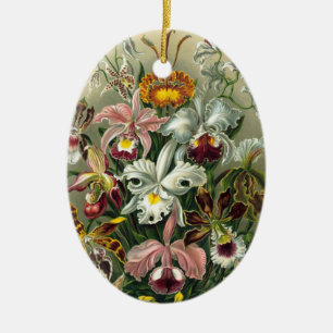 Haeckel Orchids Ceramic Ornament