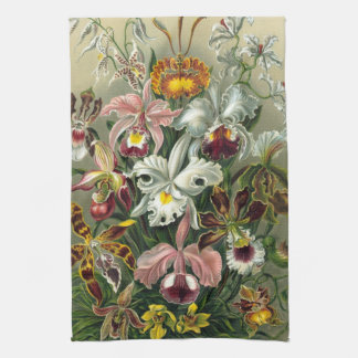 Haeckel Orchids Tea Towel