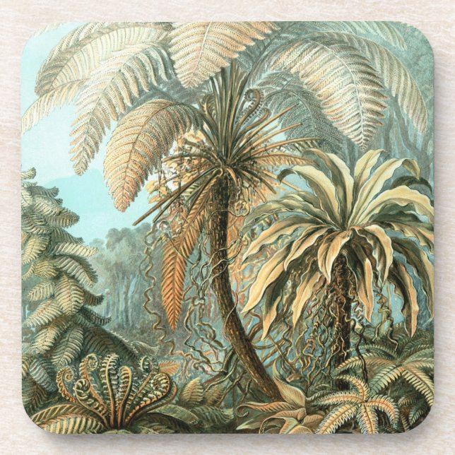 Haeckel Palm Trees Coaster (Front)