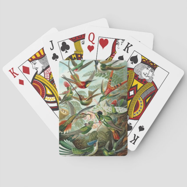 Haeckel Playing Cards (Back)