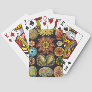 Haeckel Playing Cards