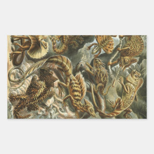 Haeckel Reptiles Rectangular Sticker
