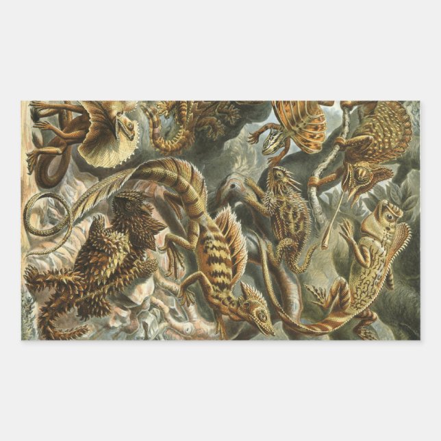 Haeckel Reptiles Rectangular Sticker (Front)