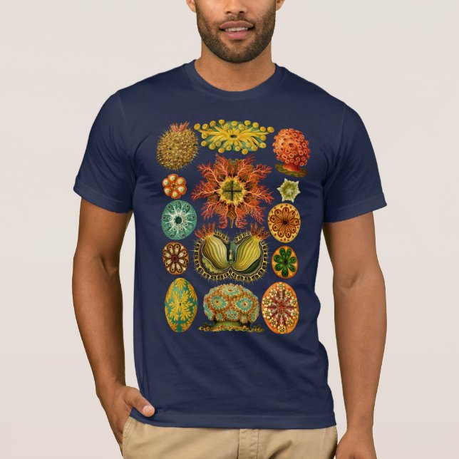 HAECKEL’S ASCIDIACEA - T-Shirt (Front)