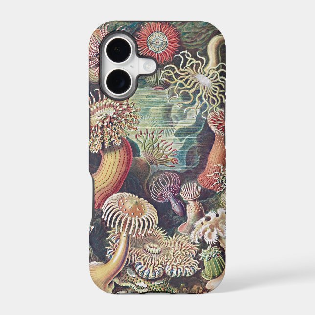 Haeckel Sea Anemone Art iPhone Case (Back)