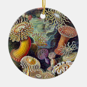 Haeckel Sea Anemone Ocean Life Painting Ceramic Tree Decoration