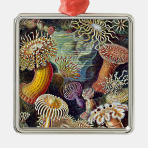 Haeckel Sea Anemone Ocean Life Painting Metal Tree Decoration
