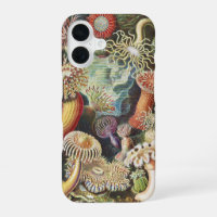Haeckel Sea Anemones Nautical Sea Life Art Collage