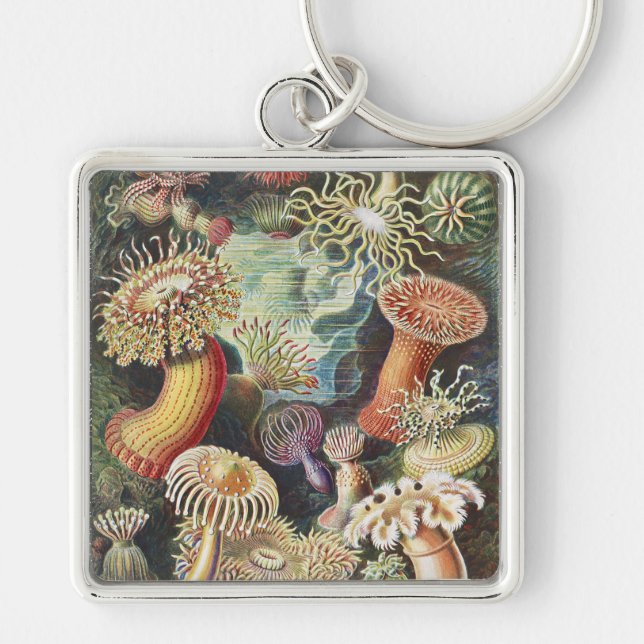 Haeckel Sea Anemones Nautical Sea Life Art Collage Key Ring (Front)