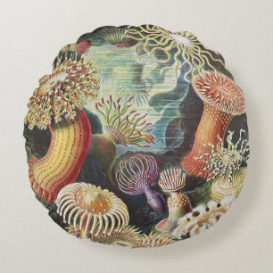 Haeckel Sea Anemones Nautical Sea Life Art Collage Round Cushion
