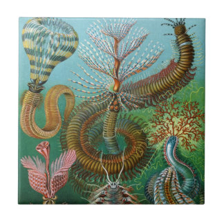 Haeckel Sea Worms Ceramics Ceramic Tile
