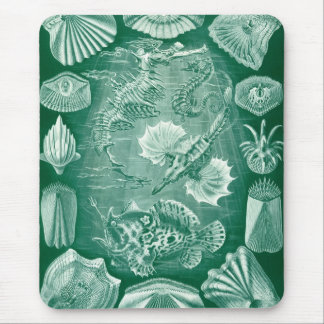 Haeckel Sealife Mouse Pad