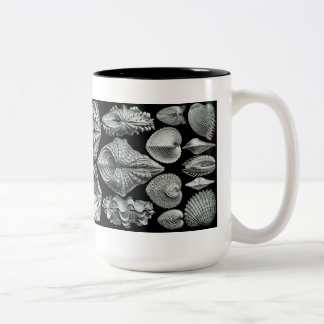 Haeckel Shells Mug