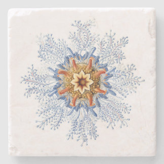 Haeckel Siphonophora Coaster