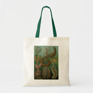 Haeckel Tote Bag