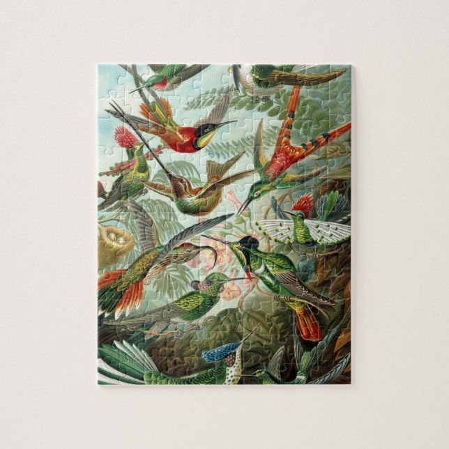Haeckel Trochilidae Jigsaw Puzzle (Vertical)