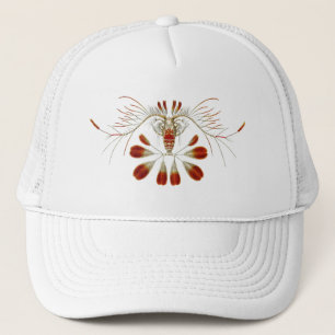 Haeckel Trucker Hat
