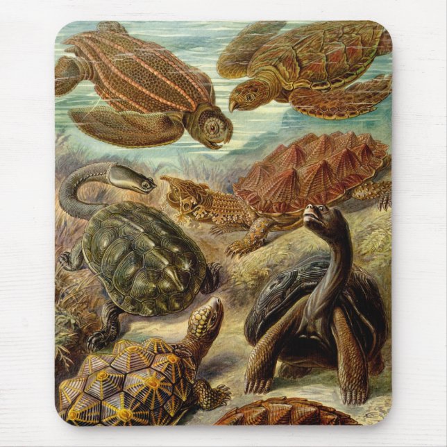 Haeckel Turtles Mouse Pad (Front)