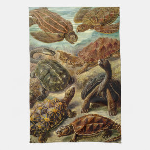 Haeckel Turtles Tea Towel