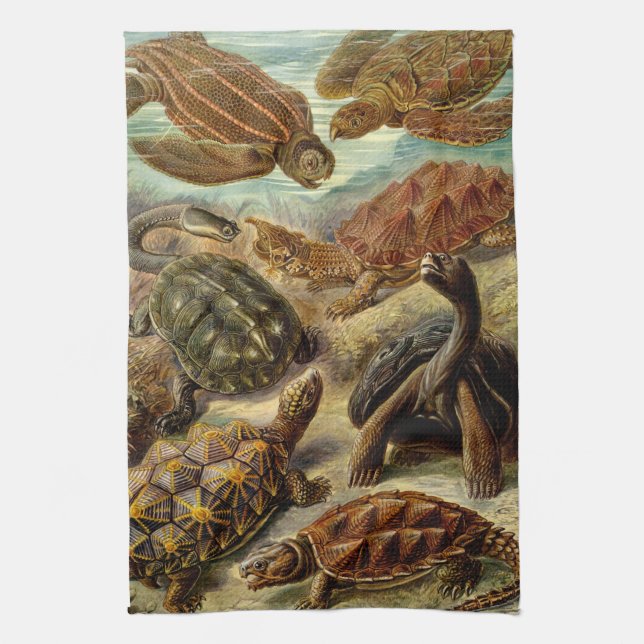 Haeckel Turtles Tea Towel (Vertical)